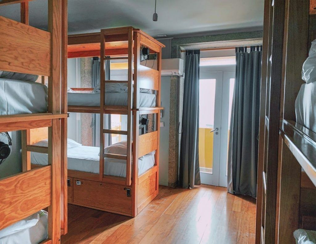 Cats Hostel
