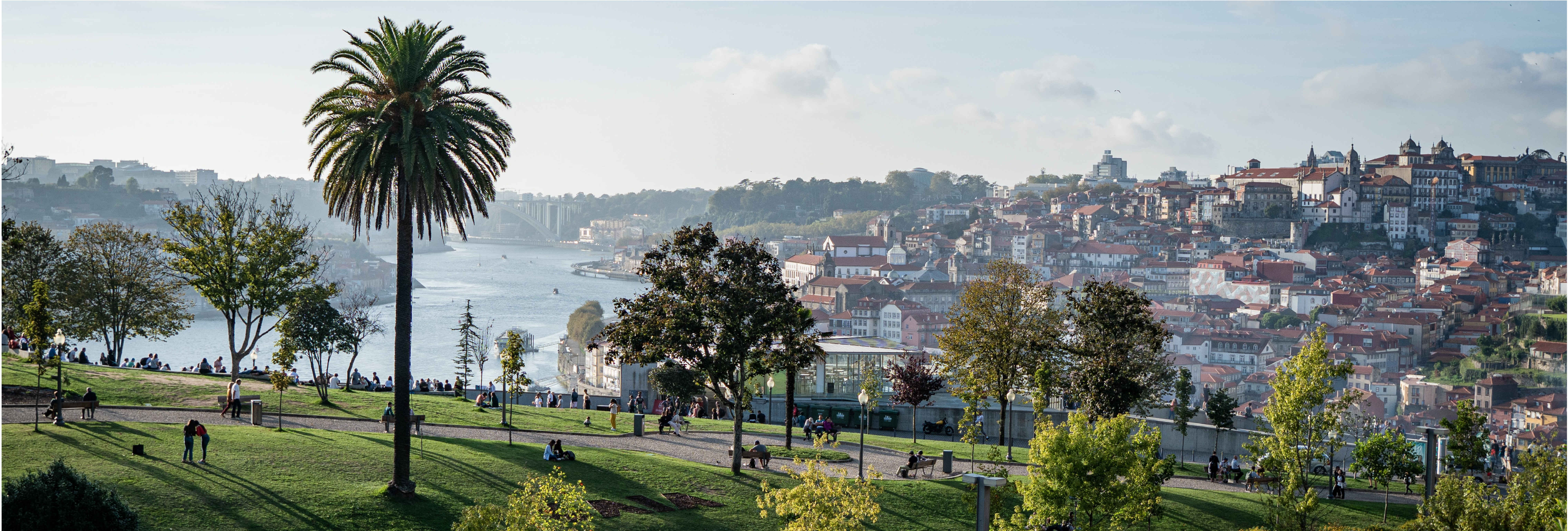 Porto View