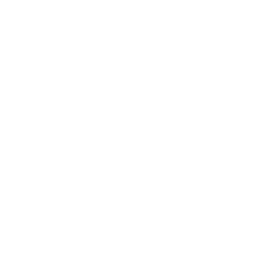 Food Icon