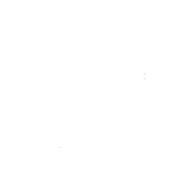 Culture Icon